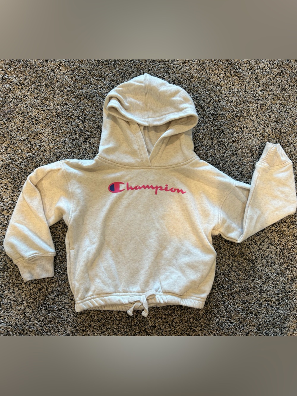 Toddler Girl Champion Fleece Hoodie Sweatshirt — 4T